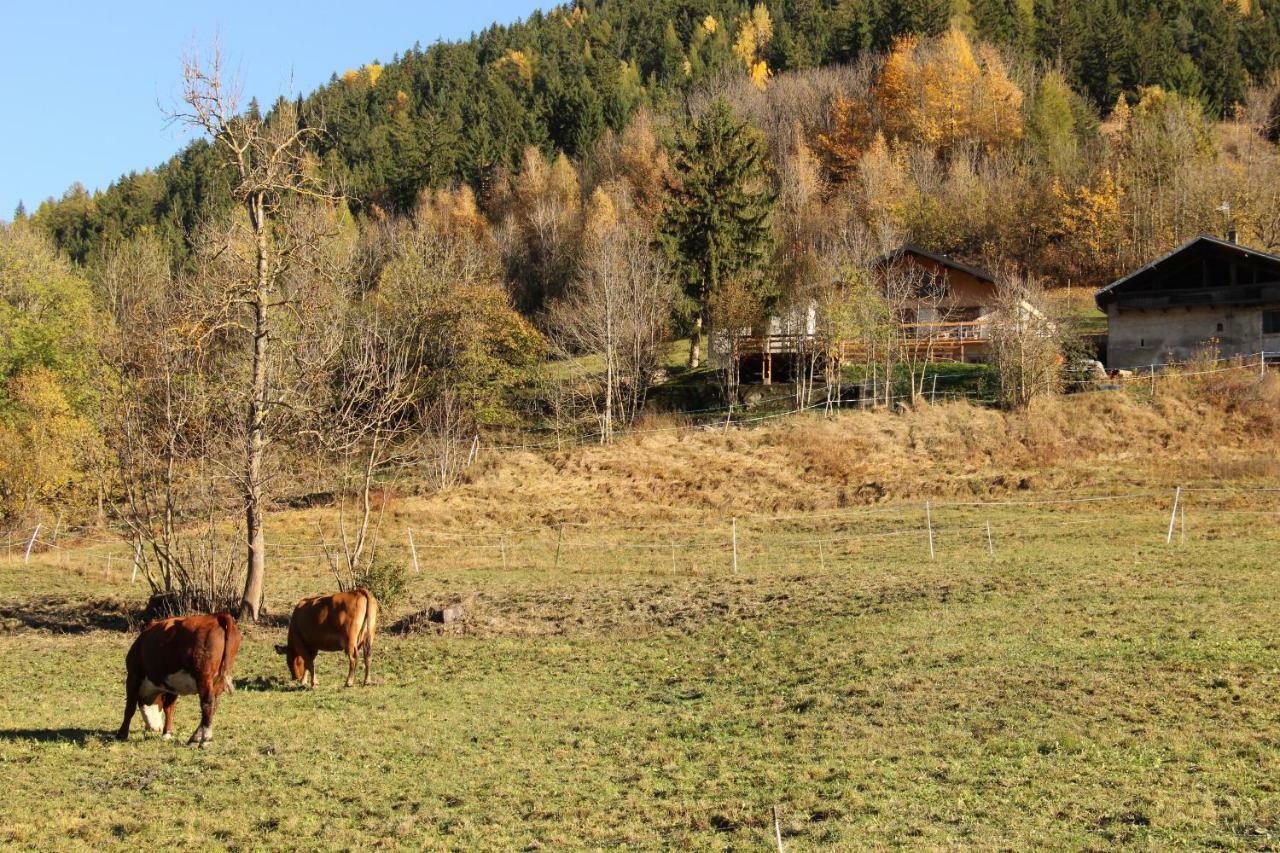 Le Chalet Des Eulets Bourg-Saint-Maurice Exterior foto